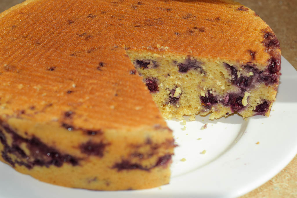 gateau-bleuets_00041