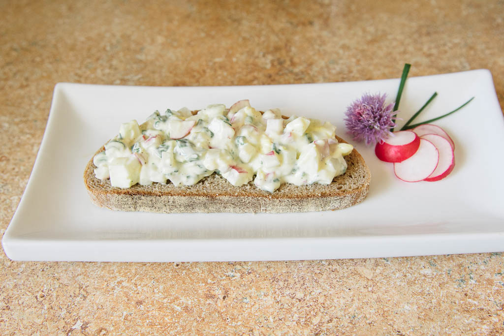 sandwich-ouvert-radis_05174