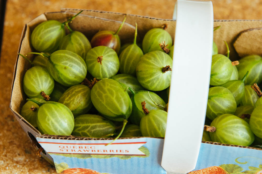 groseilles-vertes_06454