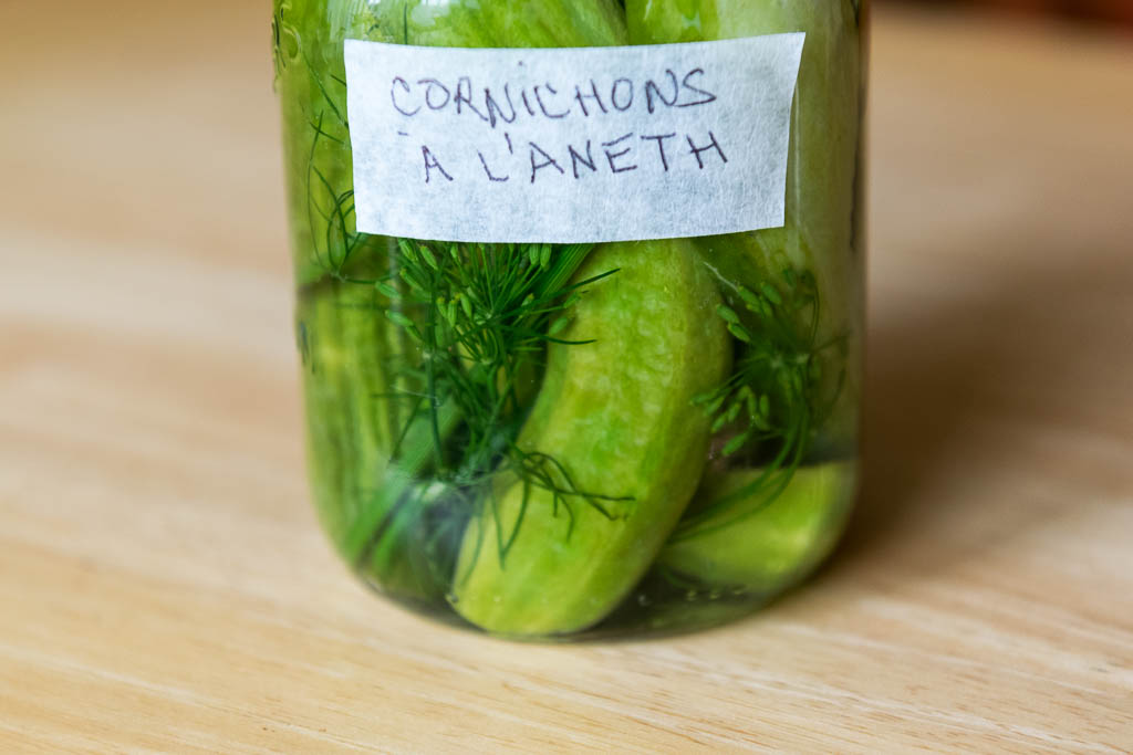 cornichons-aneth_1096