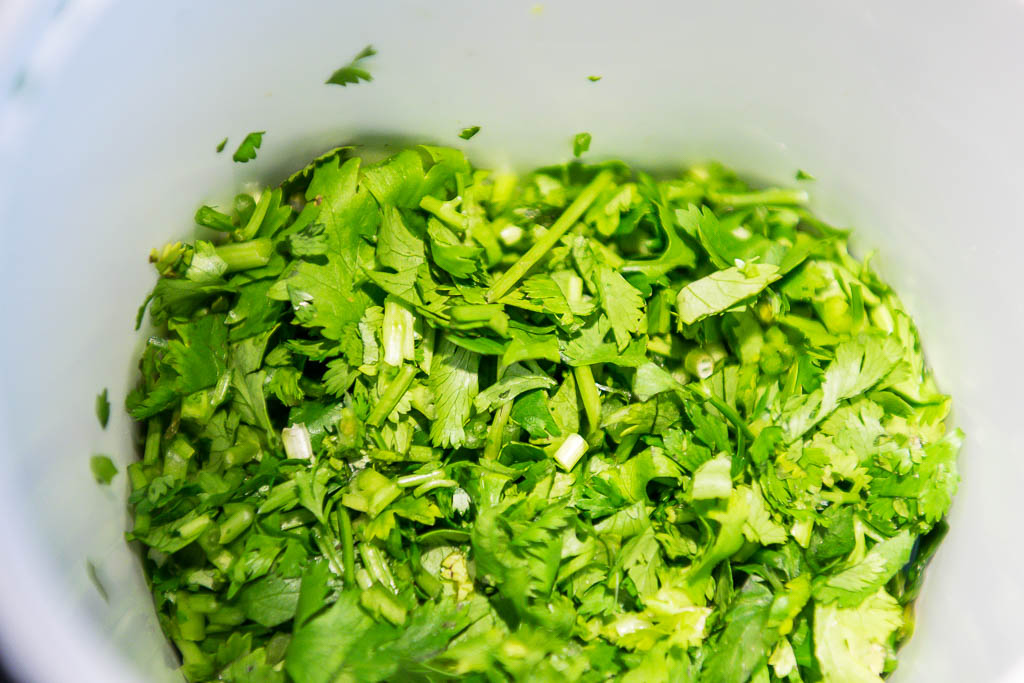 coriandre-congelee_11906