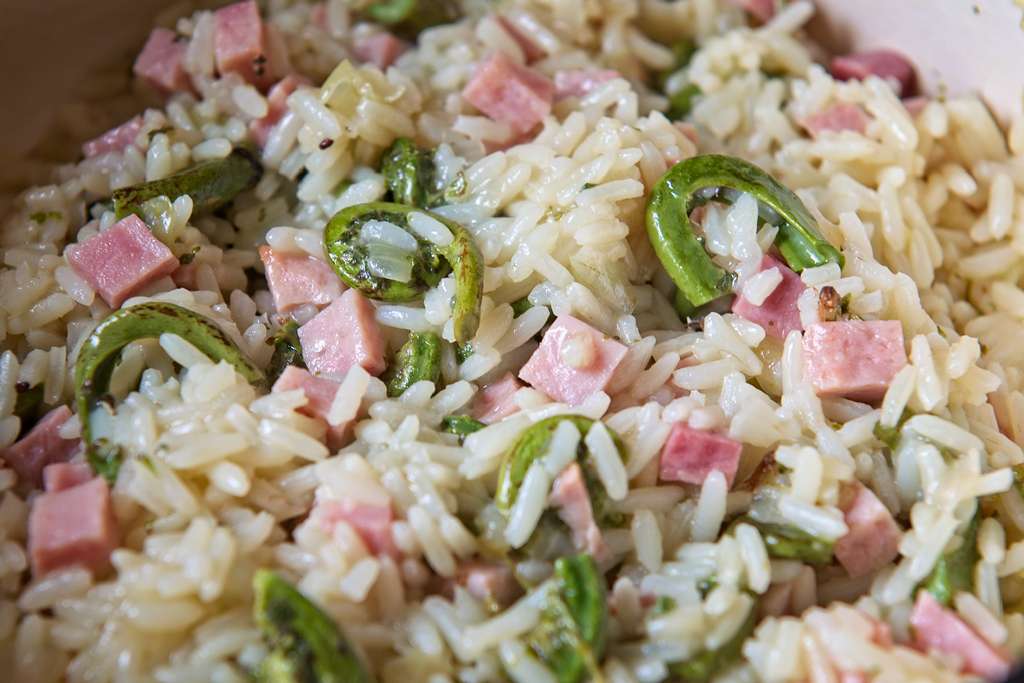 casserole-tetes-violon_2234