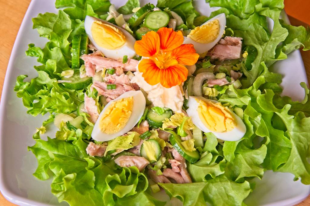 salade-poulet_0615